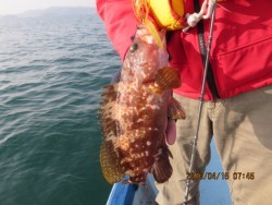 大村湾　第一あさかぜ 釣果