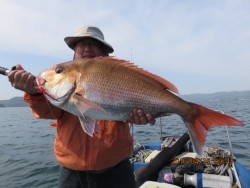 大村湾 第一あさかぜ 釣果 関東 タイラバ 鯛ラバ テンヤ マダイ ジギング船 釣り船 釣果情報サイト カンパリ