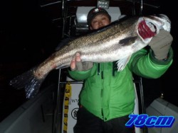 オーシャンマスター 釣果