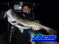 オーシャンマスター 釣果