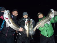 オーシャンマスター 釣果