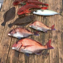 ゲームフィッシング バレントン 釣果