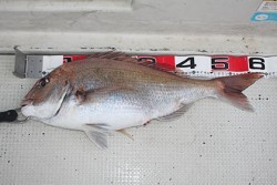 松本釣船２ 釣果