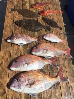 ゲームフィッシング バレントン 釣果