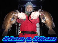 オーシャンマスター 釣果