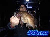 オーシャンマスター 釣果