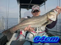 オーシャンマスター 釣果