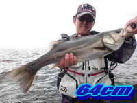 オーシャンマスター 釣果