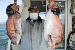 松本釣船２ 釣果