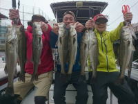 オーシャンマスター 釣果