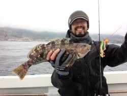 MATSUSHIMA SEANET 釣果