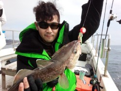 MATSUSHIMA SEANET 釣果