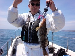 MATSUSHIMA SEANET 釣果