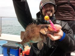 MATSUSHIMA SEANET 釣果