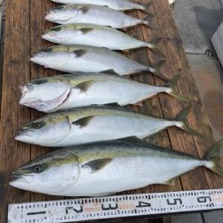 ゲームフィッシング バレントン 釣果