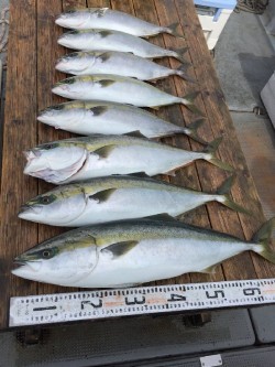 ゲームフィッシング バレントン 釣果