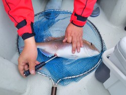 松本釣船２ 釣果