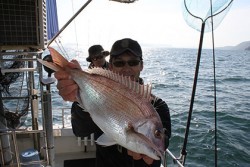 松本釣船２ 釣果