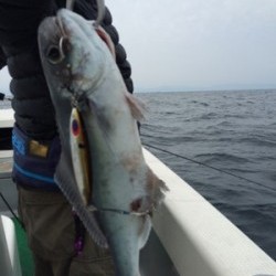 Blue.win 海人丸 釣果