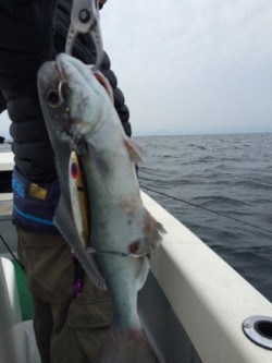 Blue.win 海人丸 釣果