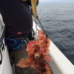 Blue.win 海人丸 釣果