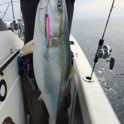 Blue.win 海人丸 釣果