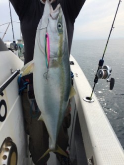 Blue.win 海人丸 釣果