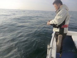 ＢＩＧ－ＯＮＥ 釣果