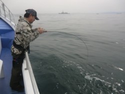 ＢＩＧ－ＯＮＥ 釣果