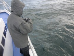 ＢＩＧ－ＯＮＥ 釣果