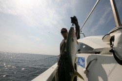 オーシャンズ 釣果