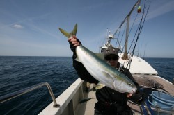 オーシャンズ 釣果