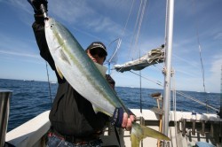 ワープゾーン 釣果