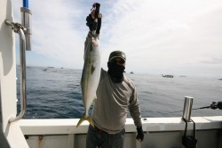 ワープゾーン 釣果