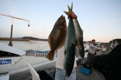 ワープゾーン 釣果