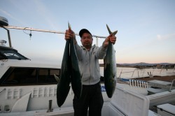 ワープゾーン 釣果