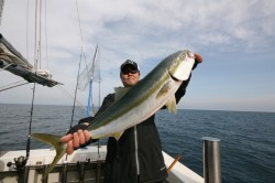 オーシャンズ 釣果