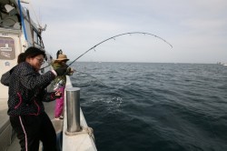 オーシャンズ 釣果