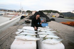 オーシャンズ 釣果