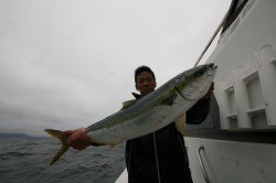 オーシャンズ 釣果