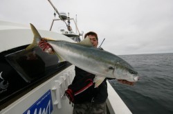 オーシャンズ 釣果