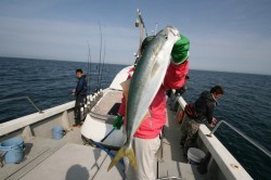オーシャンズ 釣果
