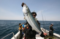 オーシャンズ 釣果