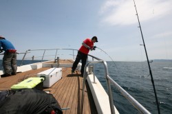 オーシャンズ 釣果