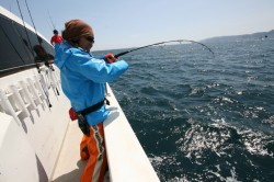 オーシャンズ 釣果