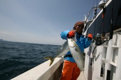 オーシャンズ 釣果