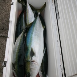 オーシャンズ 釣果