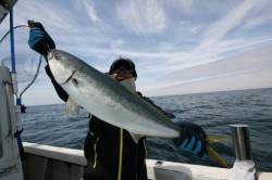 オーシャンズ 釣果