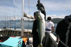 オーシャンズ 釣果