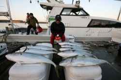 オーシャンズ 釣果